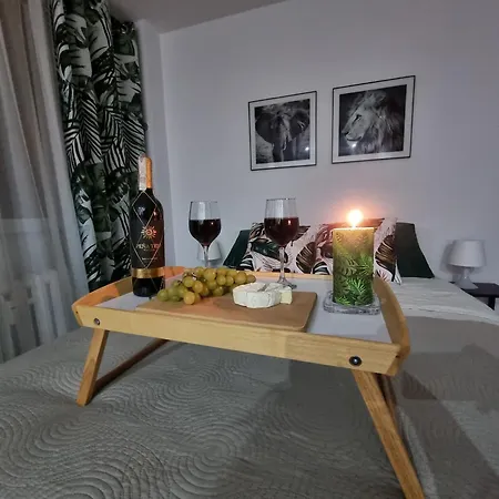 Appartement 22 Kawalerka Wierzbowa