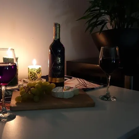 22 Kawalerka Wierzbowa Appartement Częstochowa