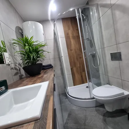 Kawalerka Na Rakowie Obok Estakady Częstochowa