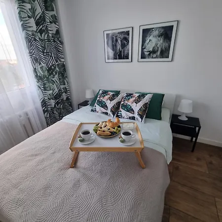 Kawalerka Na Rakowie Obok Estakady