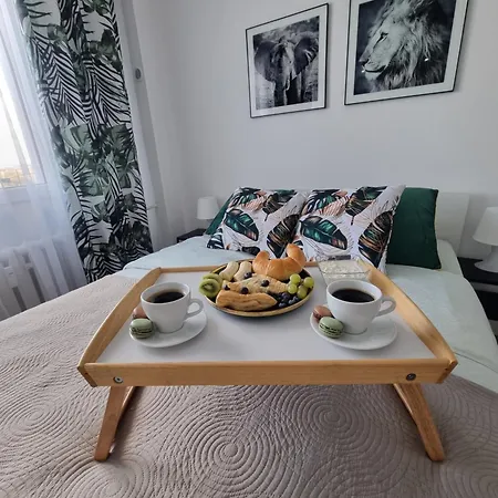 Kawalerka Na Rakowie Obok Estakady * Czestochowa