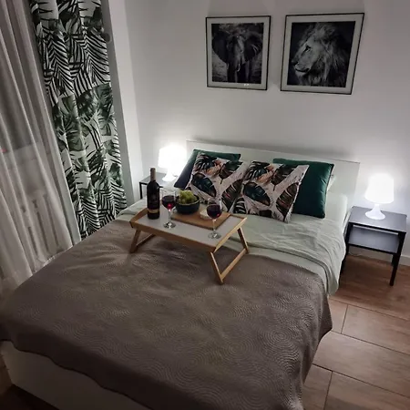 Kawalerka Na Rakowie Obok Estakady Apartment Czestochowa