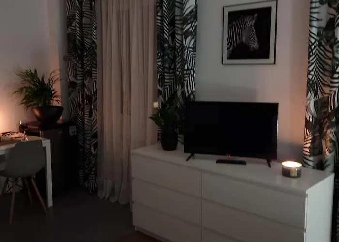 22 Kawalerka Wierzbowa