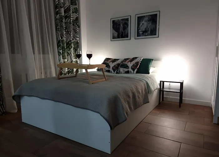 22 Kawalerka Wierzbowa * Częstochowa