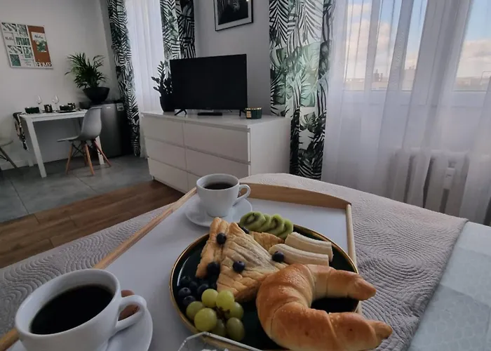 Appartement 22 Kawalerka Wierzbowa Częstochowa