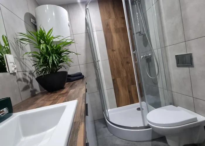 22 Kawalerka Wierzbowa צ'סטוצ'ובה