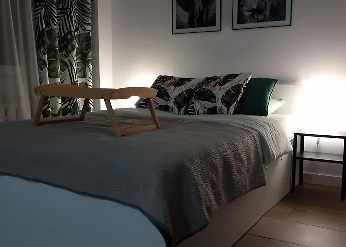 Appartement 22 Kawalerka Wierzbowa Częstochowa