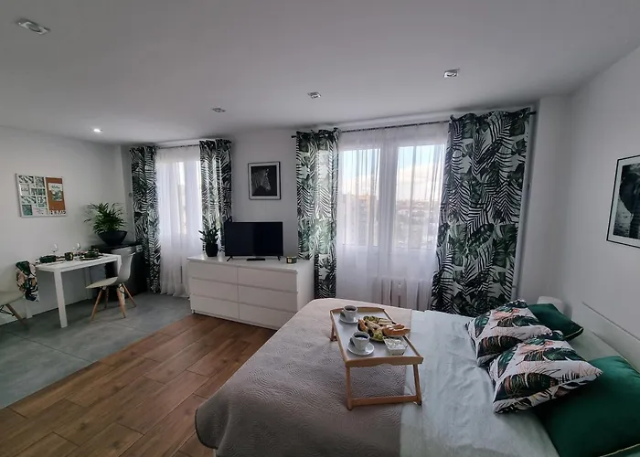 22 Kawalerka Wierzbowa צ'סטוצ'ובה