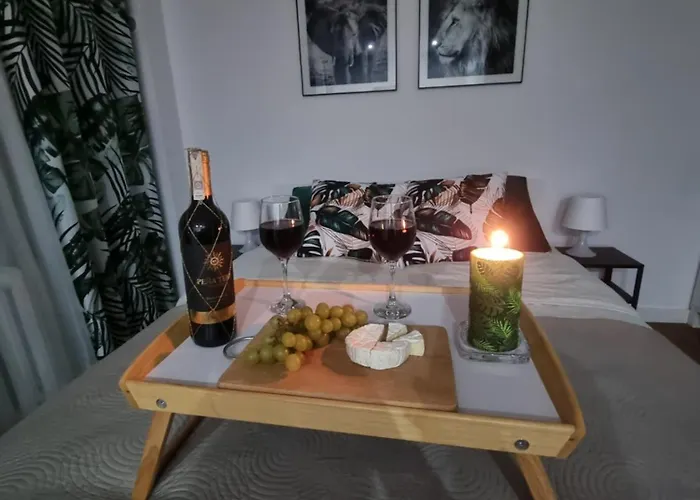 Appartement 22 Kawalerka Wierzbowa *