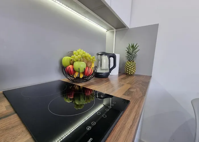 22 Kawalerka Wierzbowa Appartement Częstochowa