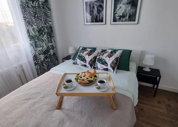 22 Kawalerka Wierzbowa