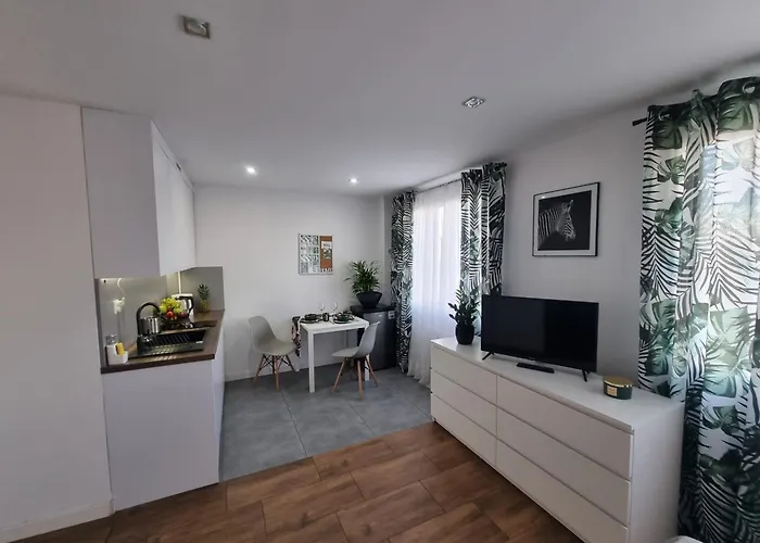 22 Kawalerka Wierzbowa