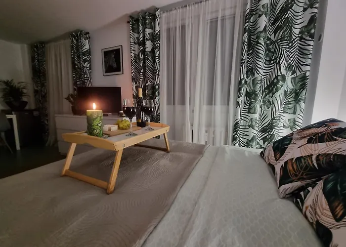 22 Kawalerka Wierzbowa Appartement *