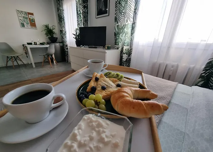 22 Kawalerka Wierzbowa Appartement Częstochowa