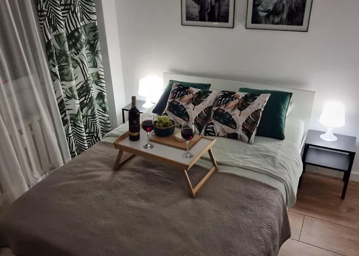 22 Kawalerka Wierzbowa Appartement Częstochowa