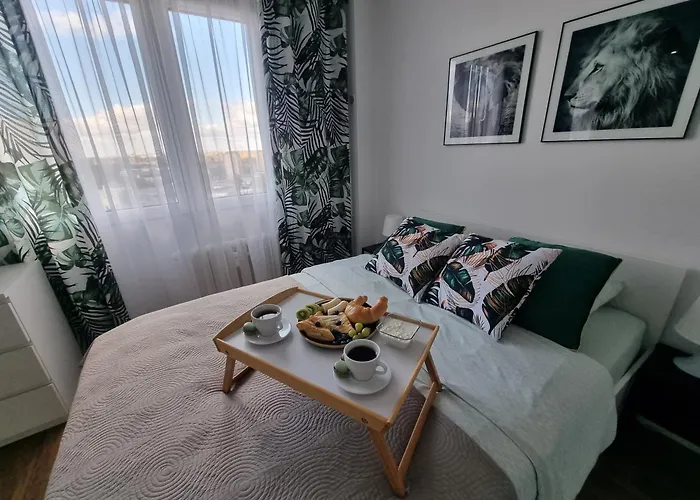 22 Kawalerka Wierzbowa