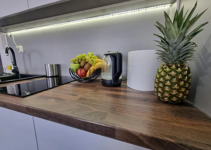 Appartement 22 Kawalerka Wierzbowa Częstochowa